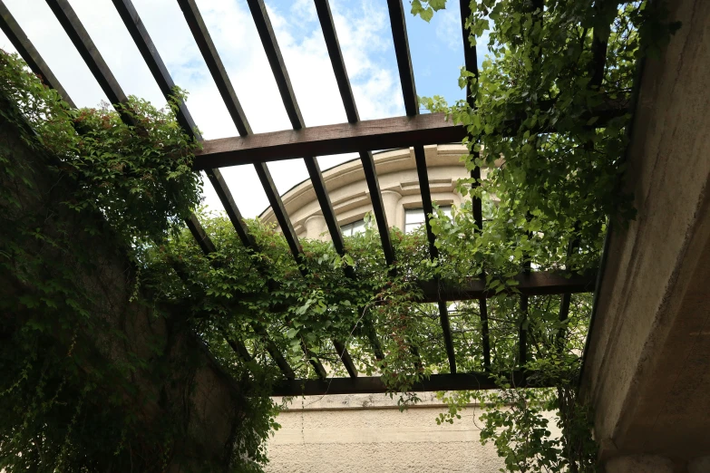 a gate surrounded by greenery and ivy on it