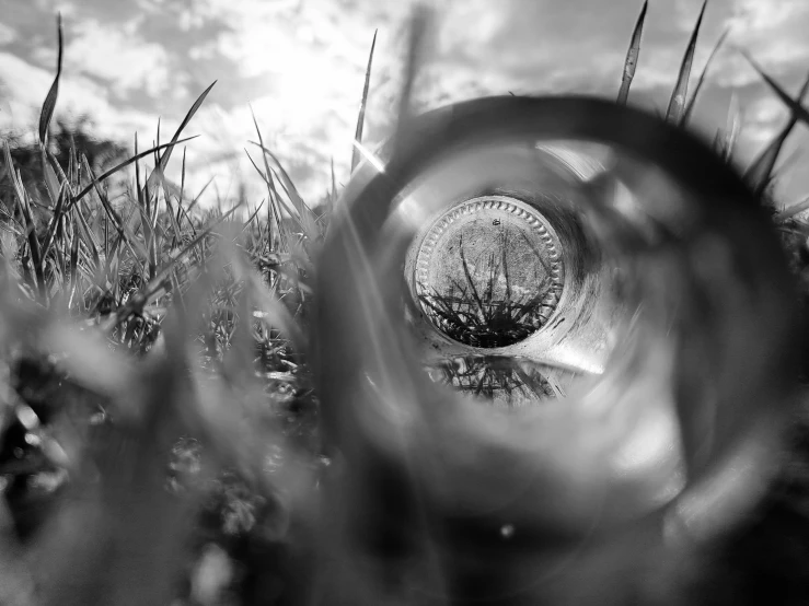 a black and white po of a field through a magnifying glass