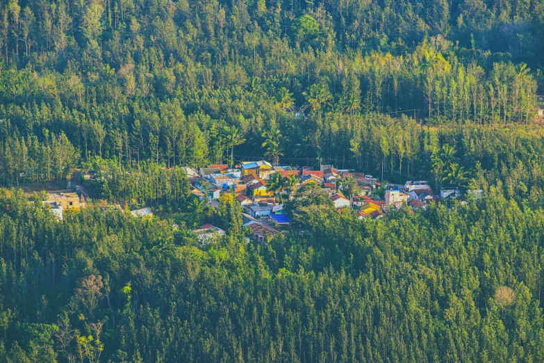 a village nestled in the middle of a forest