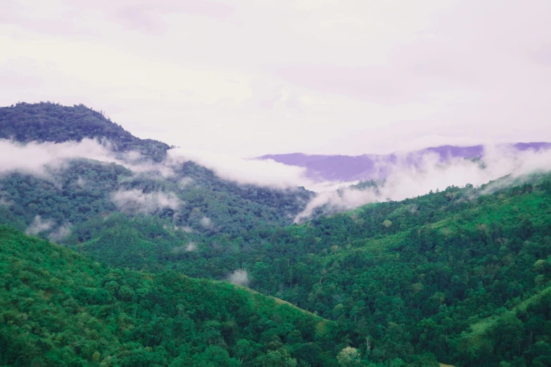 the forested mountains are very lush and dense