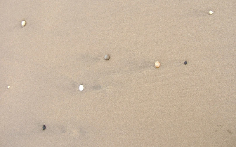 some shells on the sand with some water