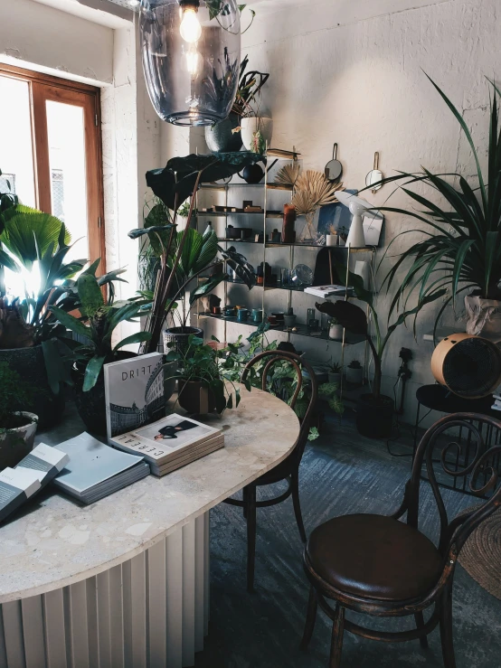 a cluttered room with plants on shelves and other decorative items