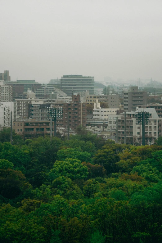 city buildings on a very overcast day with fog