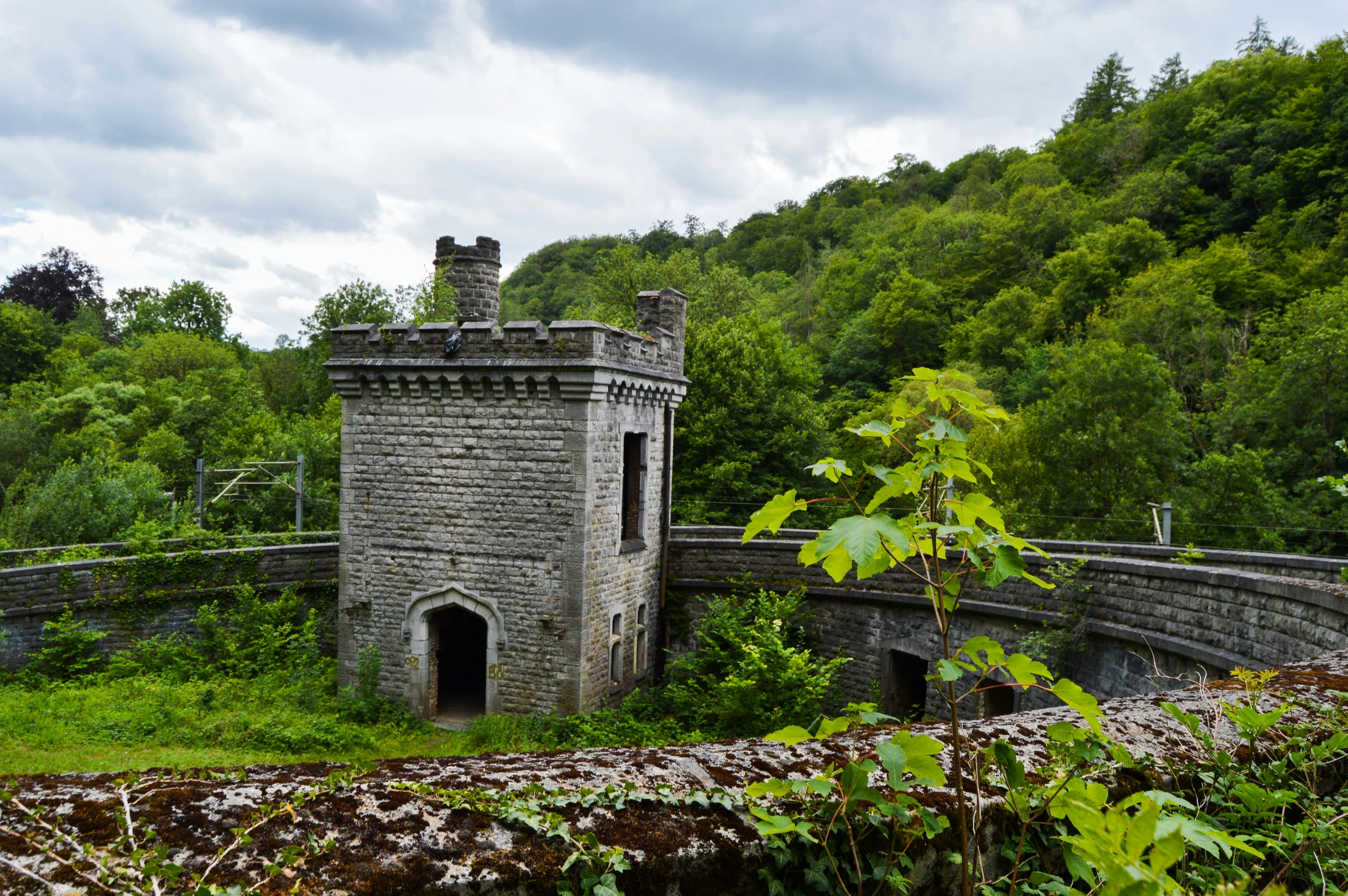 there is a stone structure surrounded by vegetation and trees