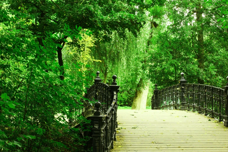 a wooden walkway surrounded by trees next to a lush green forest