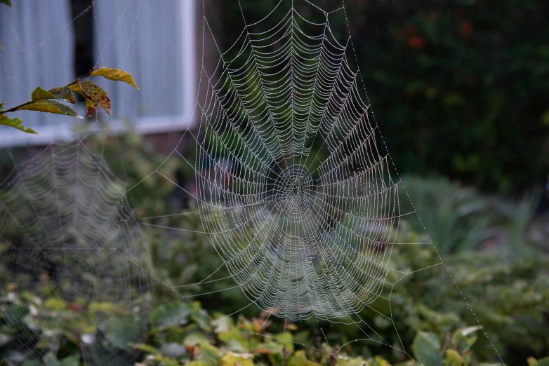 a spider web is displayed near the window of a house