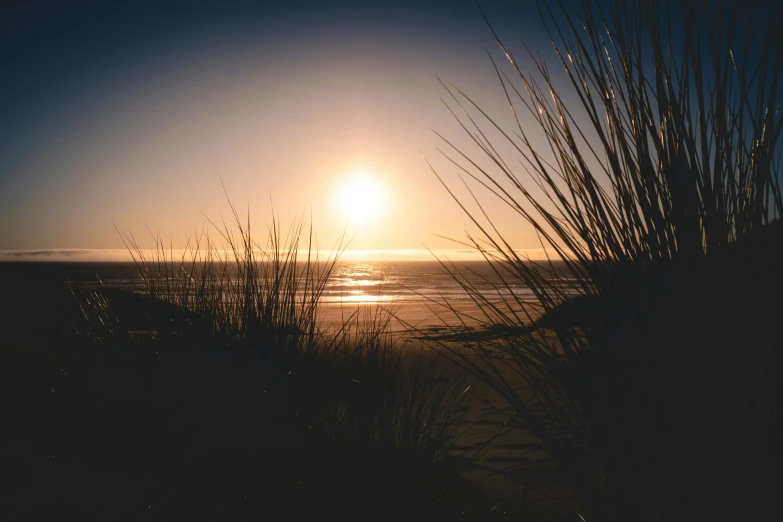 the sun is setting over the ocean with grass