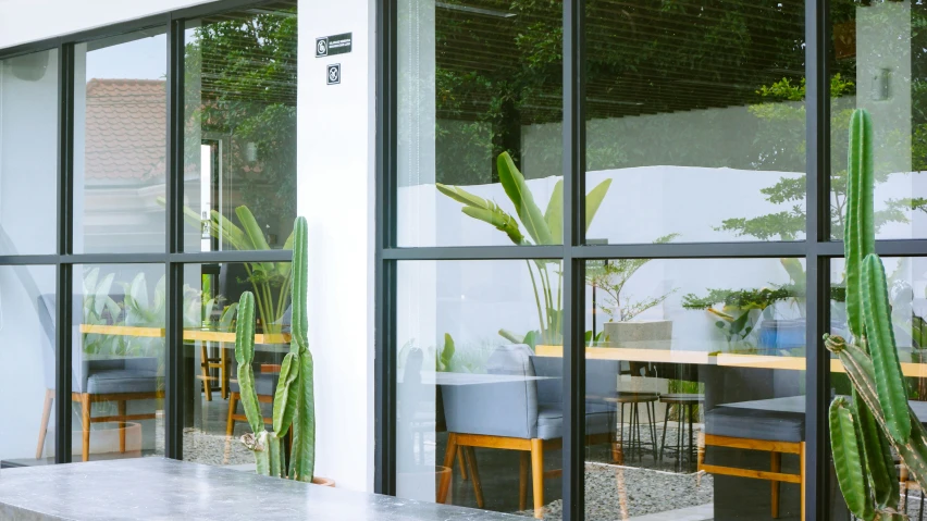 a white building with large windows showing plants and other things