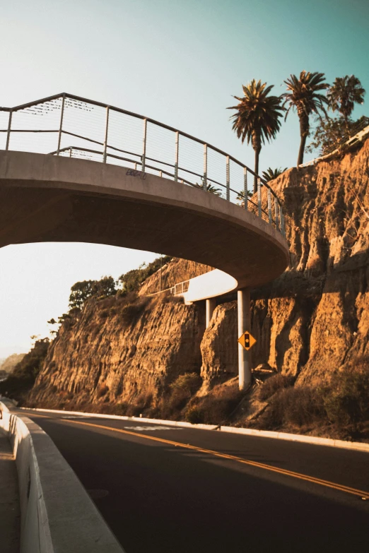 a bridge above the highway with palm trees