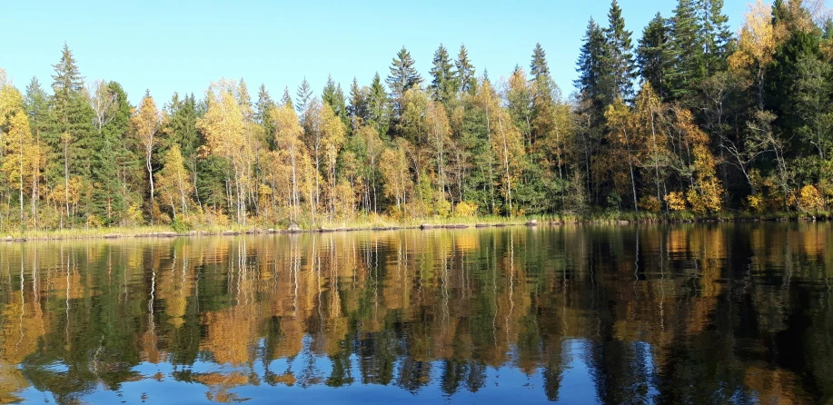 a small boat floating on top of a river in the woods