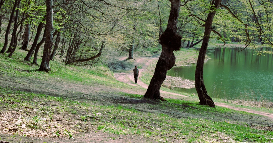 two people are walking near the water in the forest