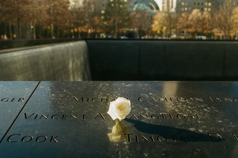 white rose sitting on memorial at the base of a monument