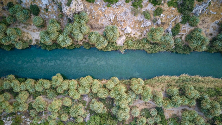 an aerial view of the woods surrounding an empty river