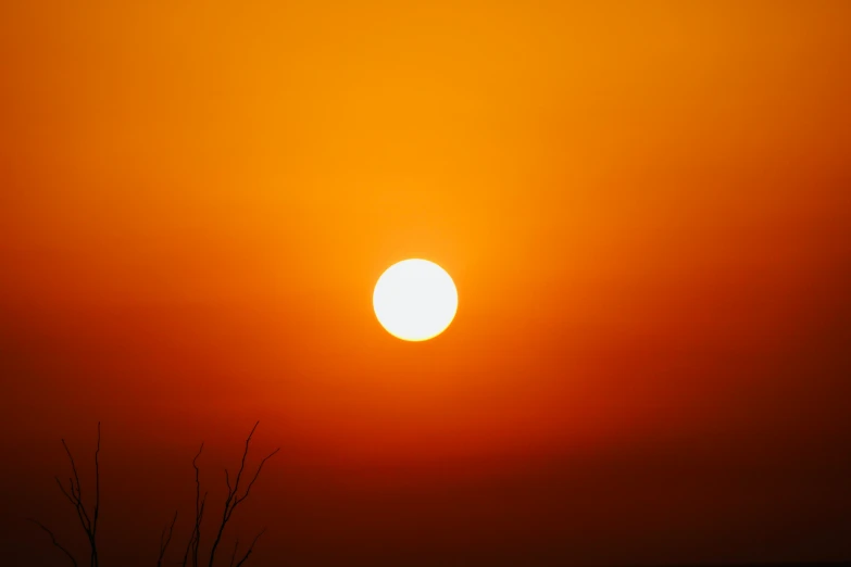 the sun is setting on a gray sky with only a single leaf