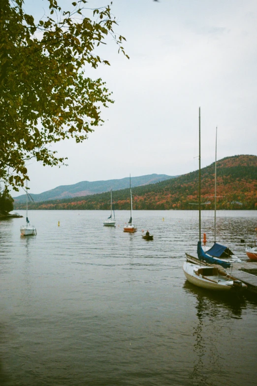 some boats on water with trees and hills in the background