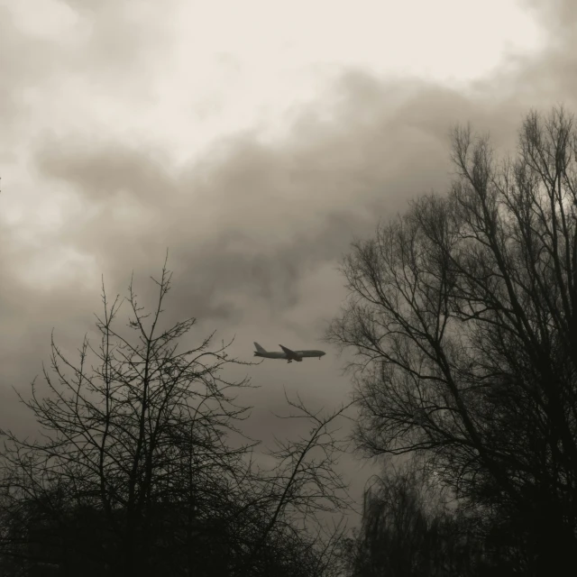 a plane is flying over the trees in the sky