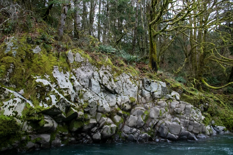 a group of rocks near the edge of the water