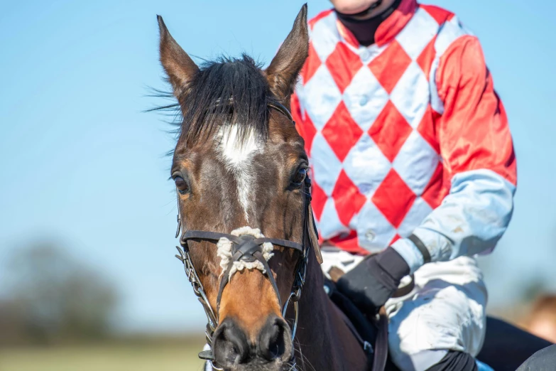 a man riding a horse on a grassy field