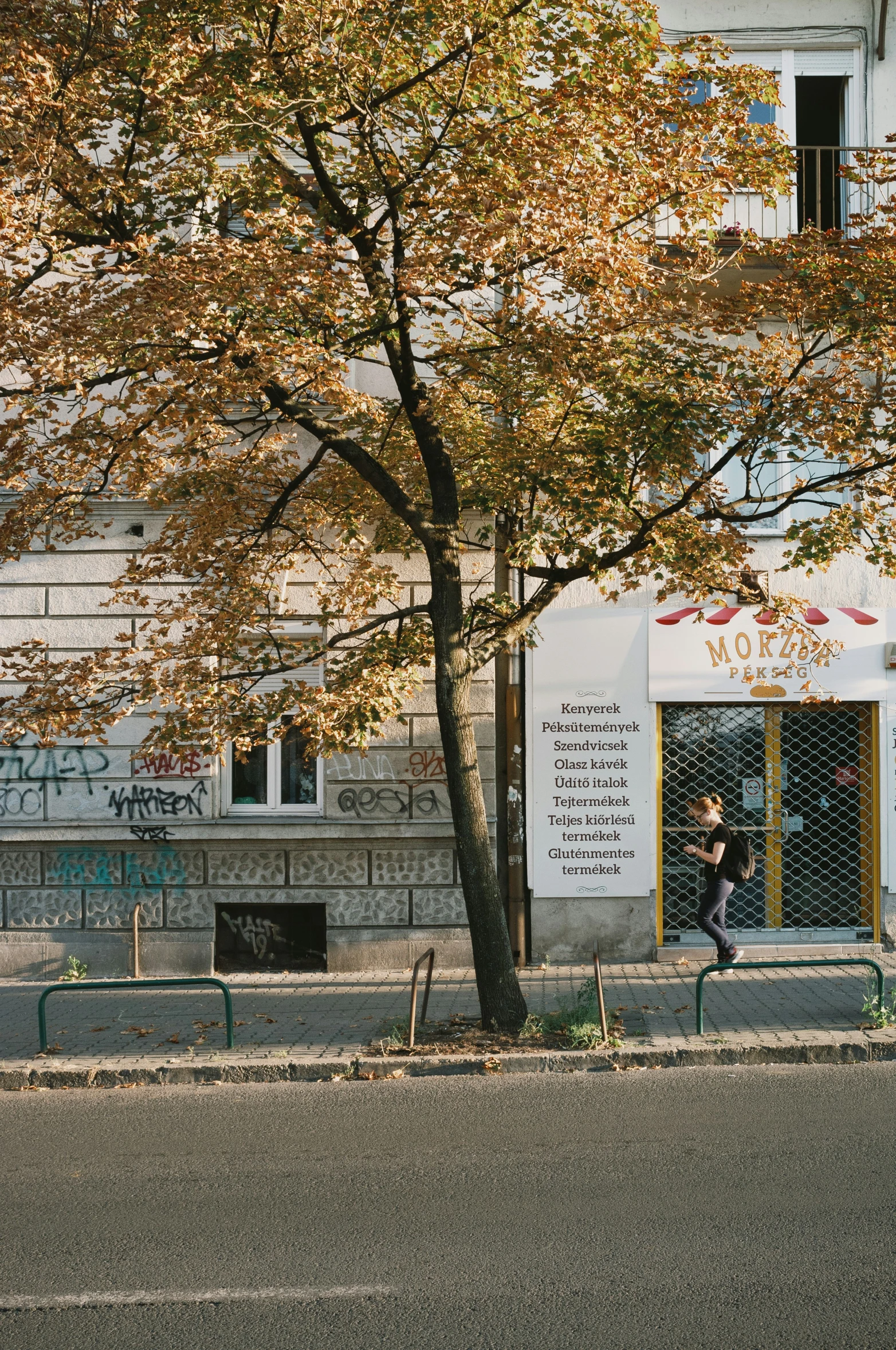 a tree in front of a building with graffiti