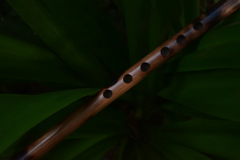 this is a long bamboo stick with black dots on it