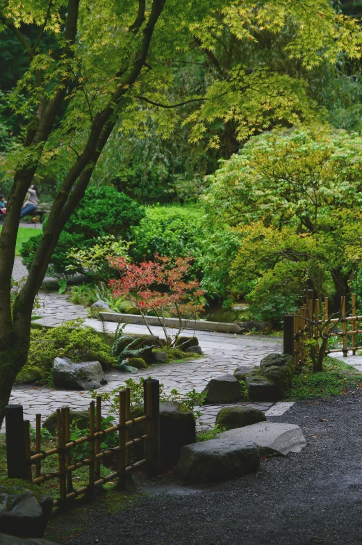 a large field of rocks in a japanese style garden