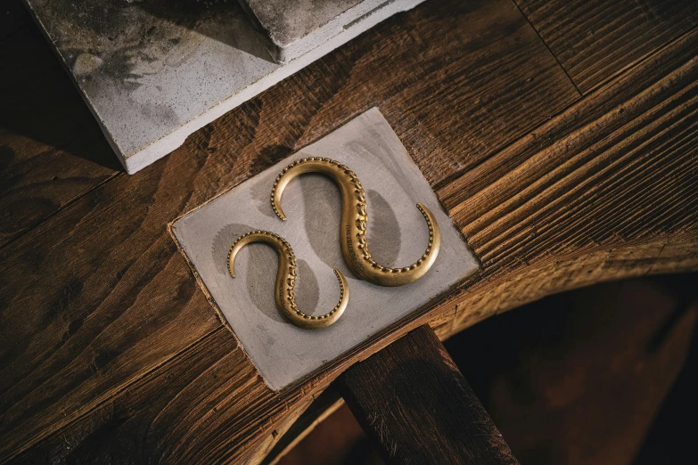 an uncoupied snake tail is shown on a piece of paper