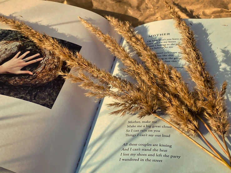 a hand is resting on a book, and there is a plant growing out of it