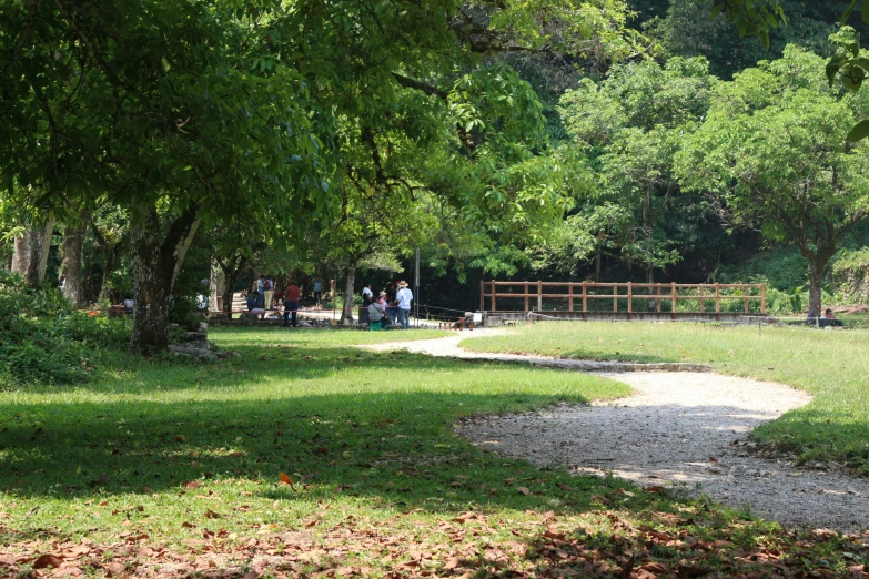 an image of people out for picnic