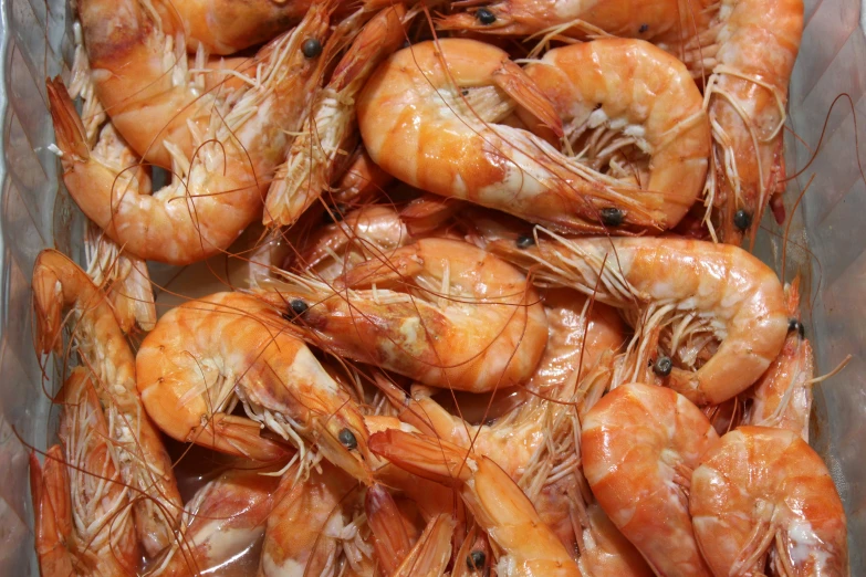 a plastic container filled with fresh shrimp next to another container