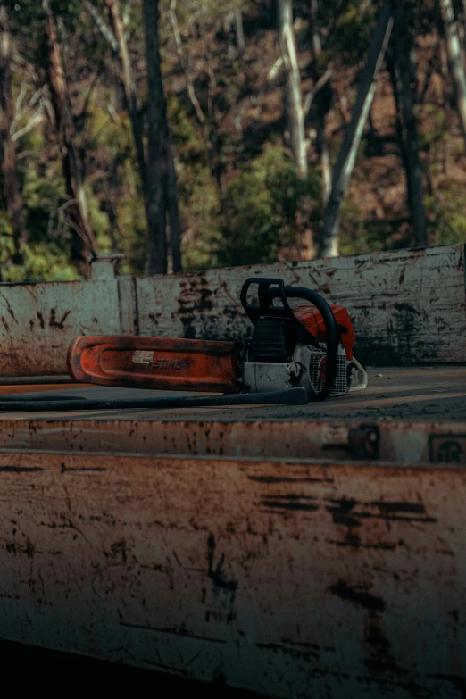 a log that has a chainsaw on it