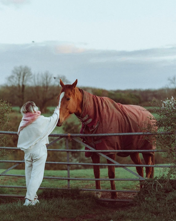 a person and horse standing in front of a fence