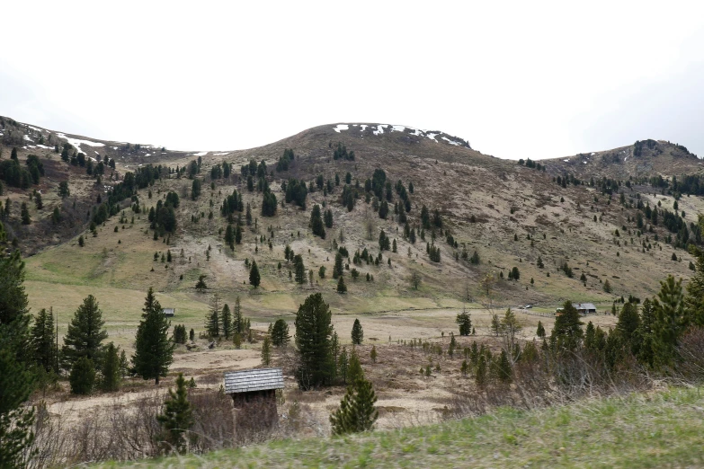 a mountain with green trees and a shelter