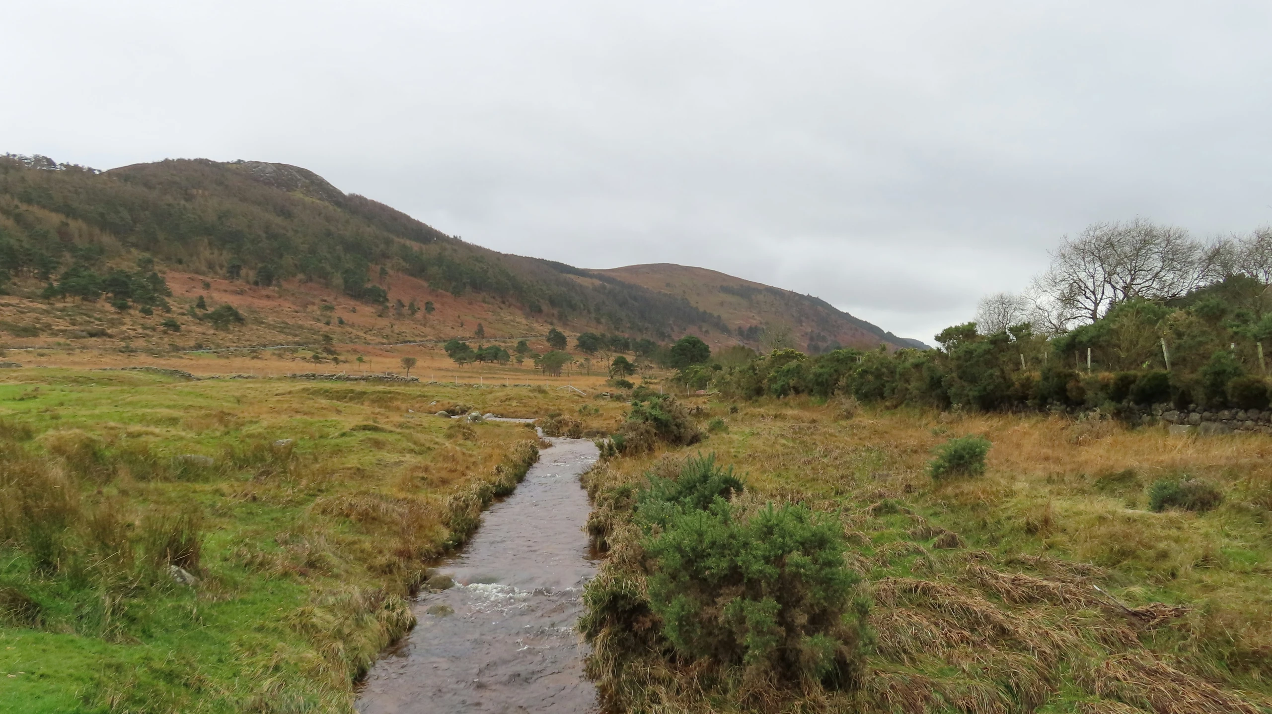 a creek running through a grassy field next to mountains