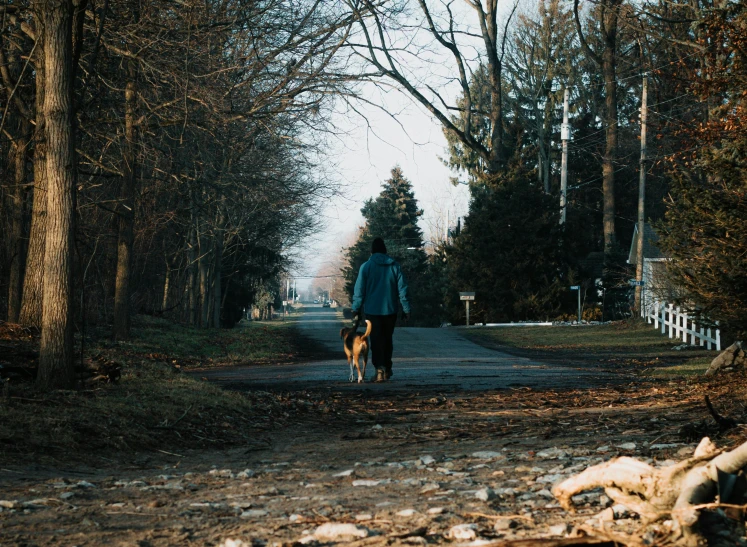 a man walking a dog down a tree lined road