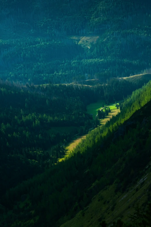 a hilly area with a green hillside covered in trees