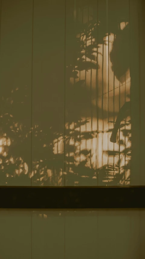 a bird sitting in front of a window with blinds