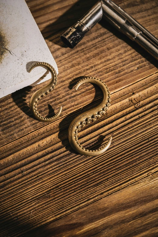 an snake is lying on the floor next to a magnifying glass