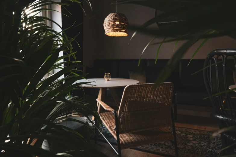 a view of a table in front of some plants and chairs