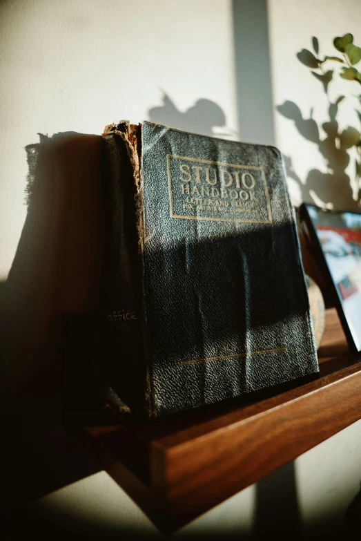 the shadow of a plant and a book are on a shelf