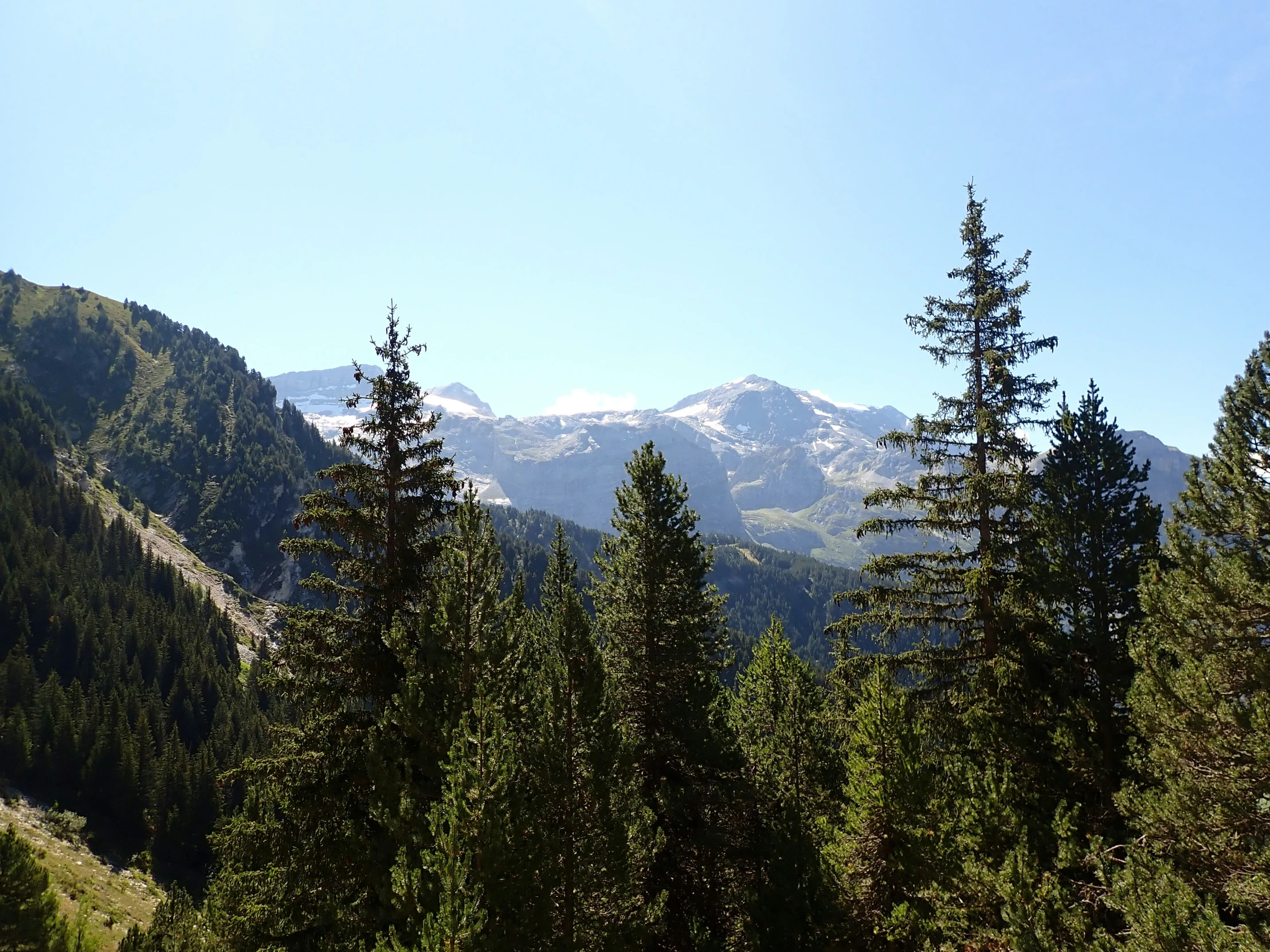 the mountain is shown with trees and mountains in the background