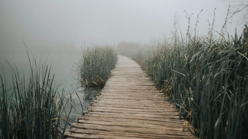 a boardwalk leading out onto the water at foggy day