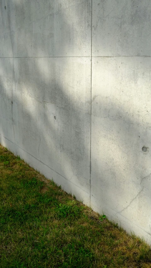 a shadow cast on a concrete wall as the grass grows
