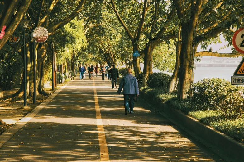 people walk down a tree lined walkway between the park and lake