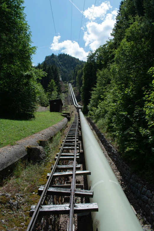 a rail road train going through a wooded area