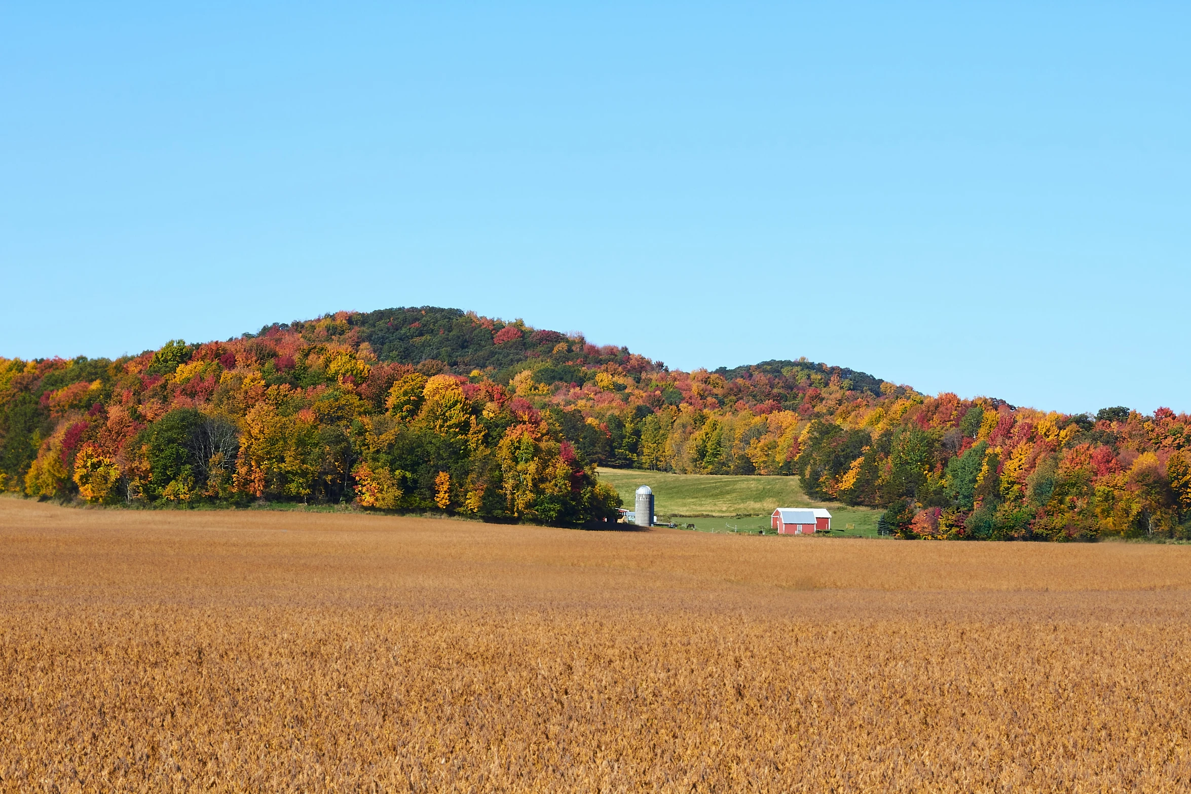 a farm is shown in the middle of an open field