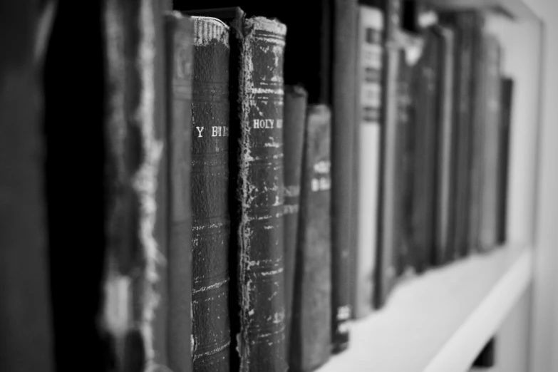 an image of a shelf full of books