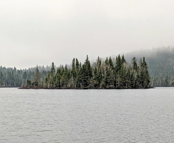 a single island is surrounded by lots of trees