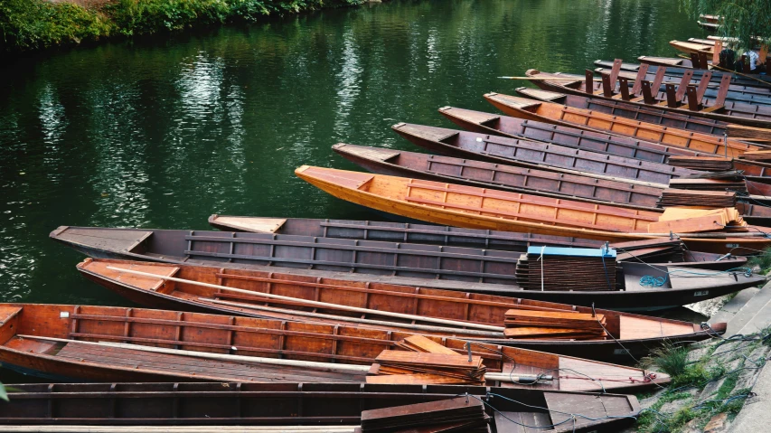 a line of rowing boats next to shore