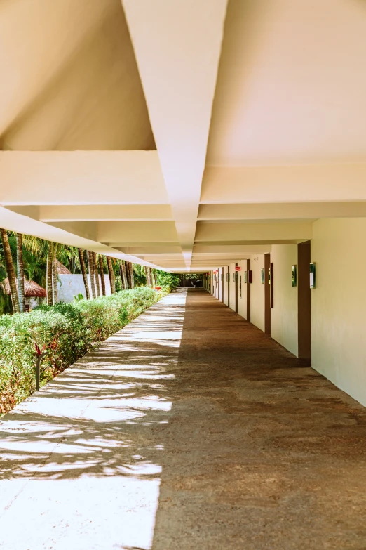 the long sidewalk with grass and shrubs under a building