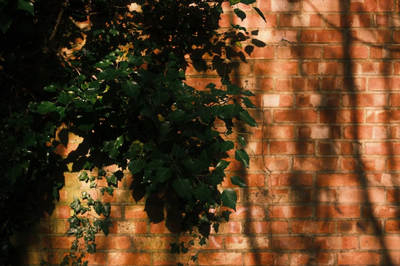 the shadow is cast on the brick wall